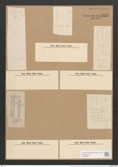 Berkeleya rutilans var. drillwynii (Ag.) Grun. (de-Toni-Nr.: Genus 21, Species 1218) Zeichnungen Sammlung Grunow Nr. 2347 (NHMW-BOT-W0369477)